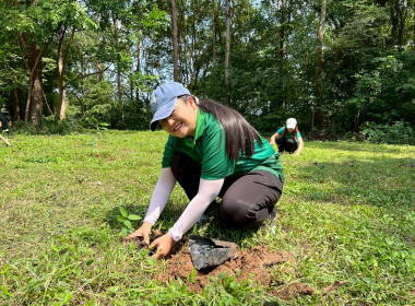 กิจกรรมวันต้นไม้ประจำปีของชาติ พ.ศ. 2568 พารามิเตอร์รูปภาพ 6